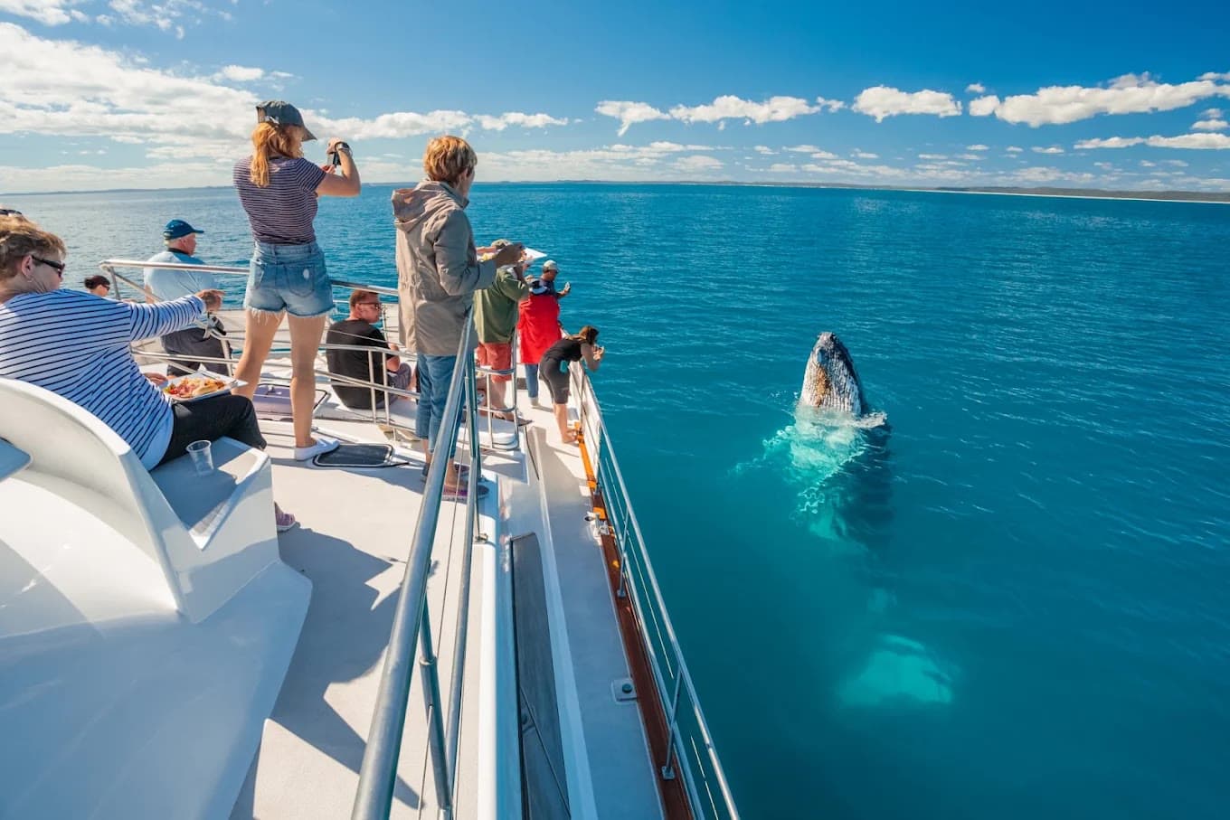 Freedom Ecotours - Whale Watching Tour — photo 1