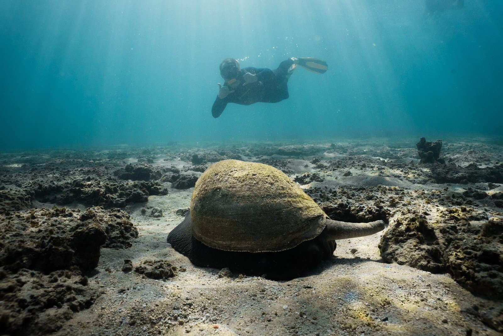 Shark Bay Eco Tours - Steep Point & Dirk Hartog Island Full Day Marine Safari — photo 1